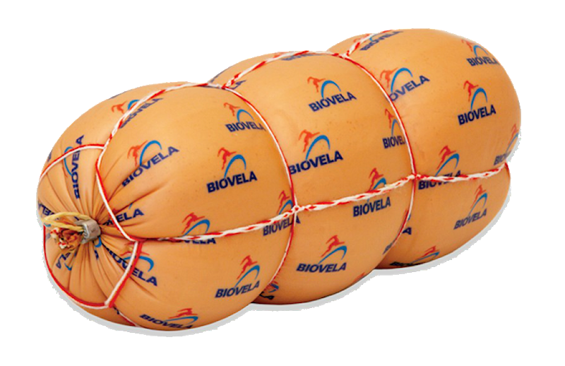 BIOVELA Bologna