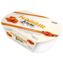 Load image into Gallery viewer, DADU Luxury Plombir Ice Cream 900ml/6pack
