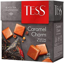 Load image into Gallery viewer, TESS Black Tea Compositions 20 pyramid/12pack
