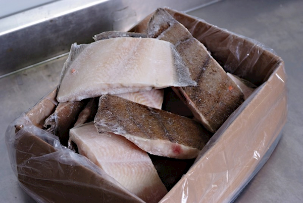 Frozen Flounder (Kambala) Chunks, 30lbs