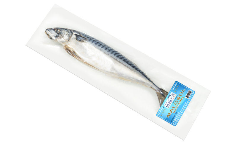 HAIFA Malosol Mackerel ~1.3lbs