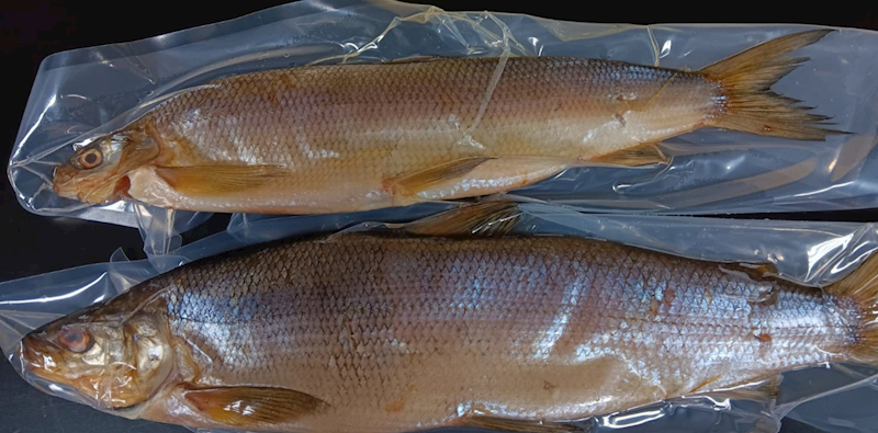 Dried Whitefish (Rybec)~1lb/2pack