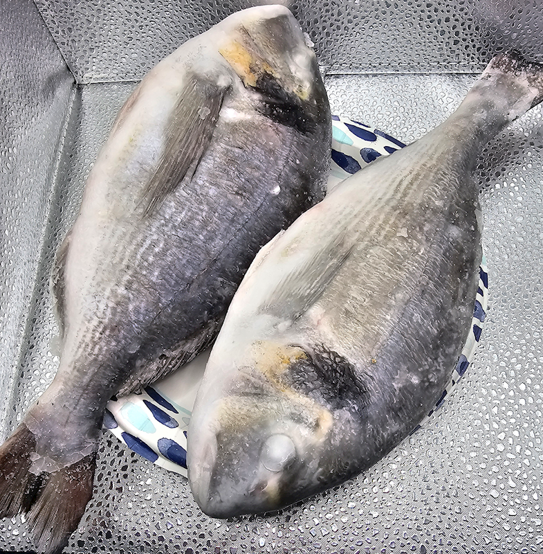 Whole Frozen Dorade (Sea Bream) ~11lbs