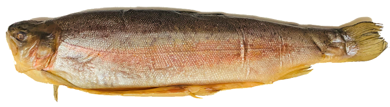 North Fish USA Steelhead Trout Cold Smoked, Whole ~3lbs