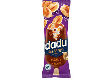 DADU Ice Cream with Salted Peanut & Caramel 100ml/36pack